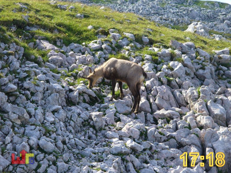 Tour Reiteralpe 2005